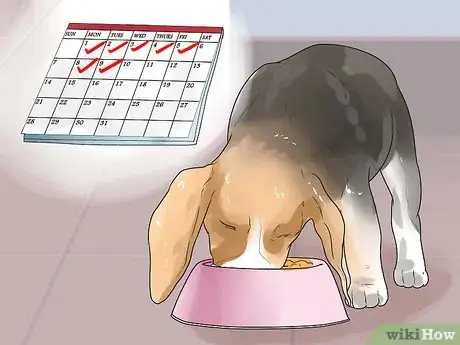 Imagen titulada Take Care of a Beagle Puppy Step 10