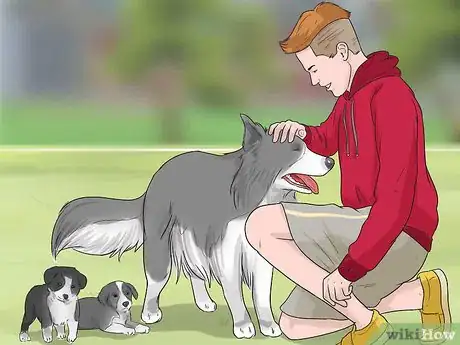 Imagen titulada Exercise a Mother Dog Step 10