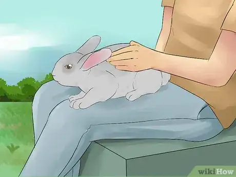 Imagen titulada Catch a Pet Rabbit Step 7