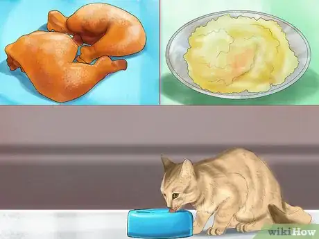Imagen titulada Choose a Diet for an FIV Cat Step 4