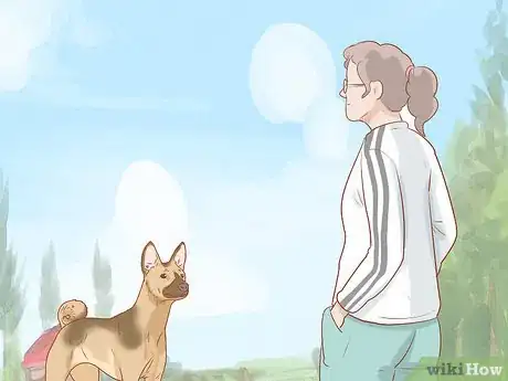Imagen titulada Fight off a Dog Step 9