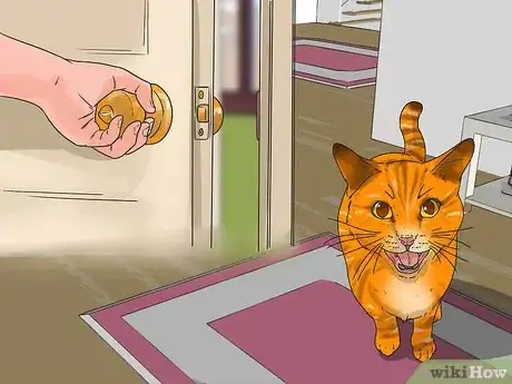 Imagen titulada Know if a Child Is Allergic to Cats Step 16