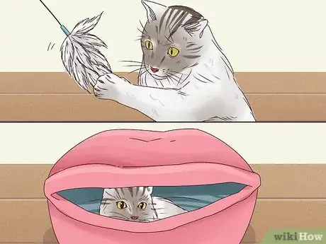 Imagen titulada Get a Cat to Stop Meowing Step 12