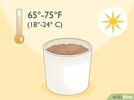Imagen titulada Plant a Seed in a Pot Step 7