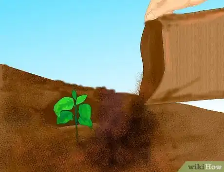 Imagen titulada Add Compost to Plants Step 18