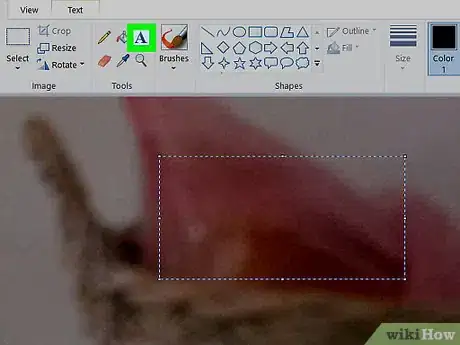 Imagen titulada Put Text on Pictures Step 9