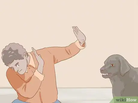 Imagen titulada Fight off a Dog Step 3