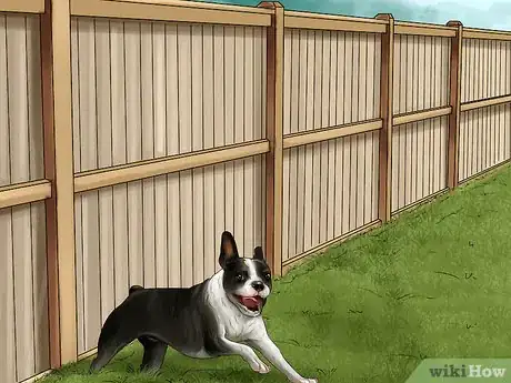 Imagen titulada Keep Your Dog Under Control Outside Step 7