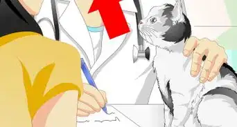 evitar que tu gato orine donde no debe