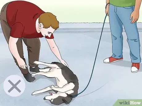 Imagen titulada Hug a Dog Step 7