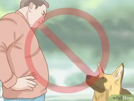 Imagen titulada Fight off a Dog Step 8