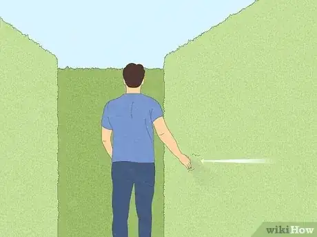 Imagen titulada Find Your Way Through a Maze Step 2