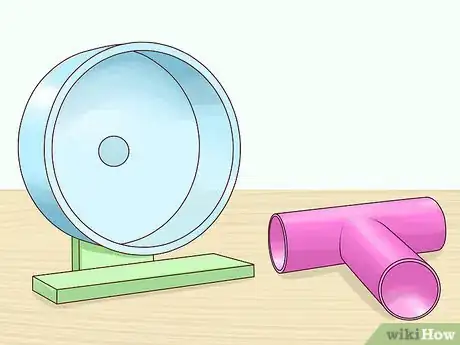 Imagen titulada Choose a Pet Mouse Step 11