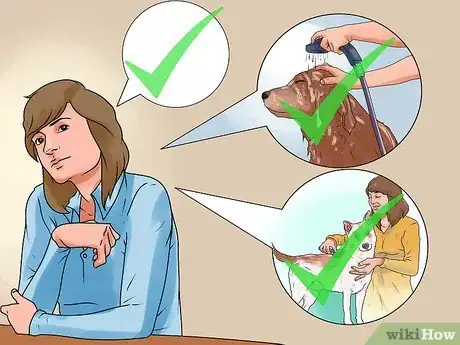 Imagen titulada Rid Your Pet of Fleas Step 16