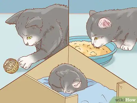 Imagen titulada Get a Kitten to Fall Asleep Step 16