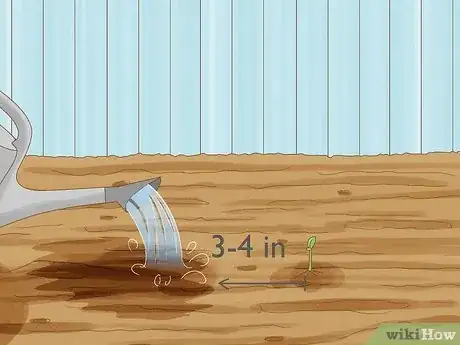 Imagen titulada Plant Sunflower Seeds Step 10