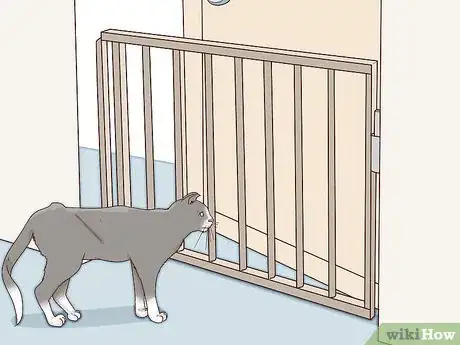 Imagen titulada Deal with a Paralyzed Cat Step 6