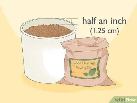 Imagen titulada Plant a Seed in a Pot Step 3