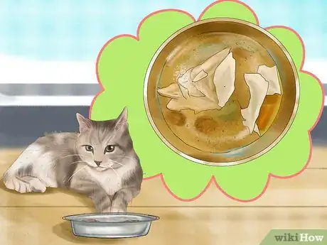 Imagen titulada Choose a Diet for an FIV Cat Step 6
