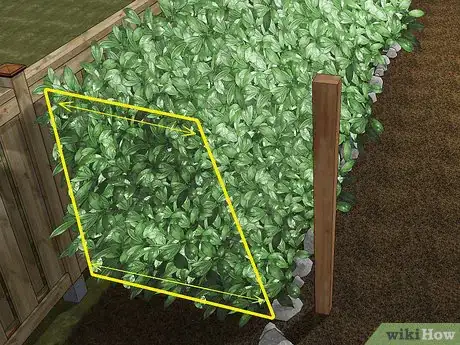 Imagen titulada Trim Shrubs Step 5