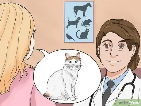 Imagen titulada Identify a Turkish Van Step 12