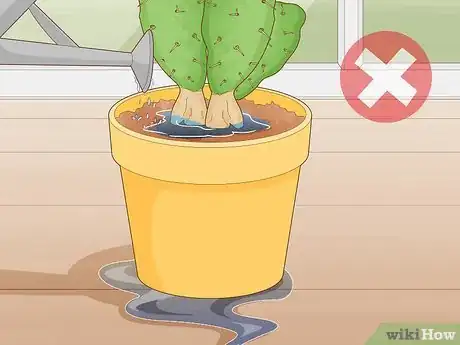 Imagen titulada Get Rid of Cactus Bugs Step 9