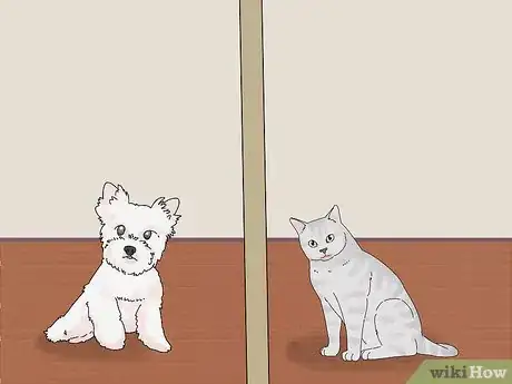 Imagen titulada Make a Cat and Dog Get Along Step 10