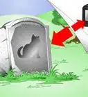 reconfortar a un gato que está muriendo