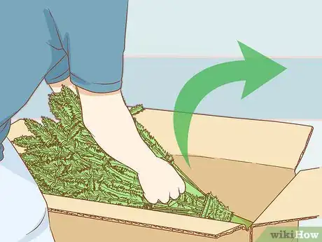Imagen titulada Clean an Artificial Christmas Tree Step 1
