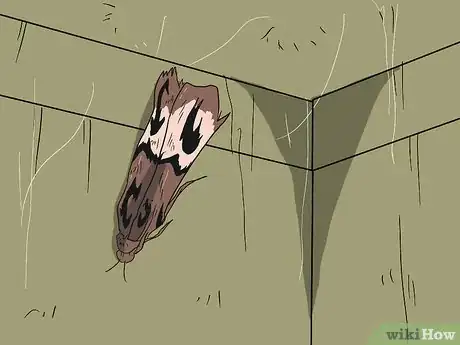 Imagen titulada Do Pest Control With a Vacuum Cleaner Step 5Bullet3