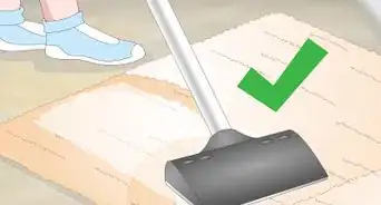 quitar el olor de la orina de gato de una alfombra