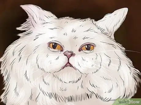 Imagen titulada Help a Cat That Swallowed String Step 10