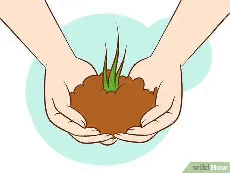 Image intitulée Get Rid of Poison Ivy Step 10