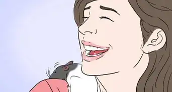 apprivoiser un rat