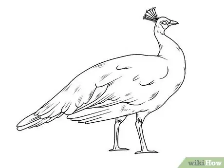 Image intitulée Draw an Exotic Peacock Step 16