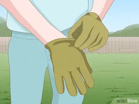 Image intitulée Get Rid of Nutgrass Step 5