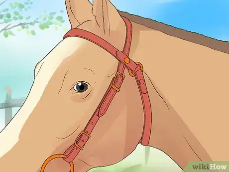 Image intitulée Bridle a Horse Step 22