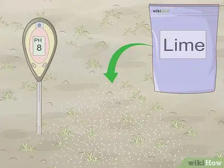 Image intitulée Get Green Grass Step 5