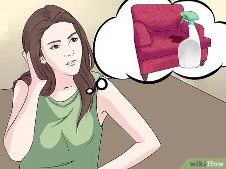 Image intitulée Remove the Smell of Cat or Dog Urine from Upholstery Step 5