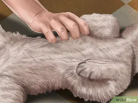 Image intitulée Save Orphaned Newborn Puppies Step 14