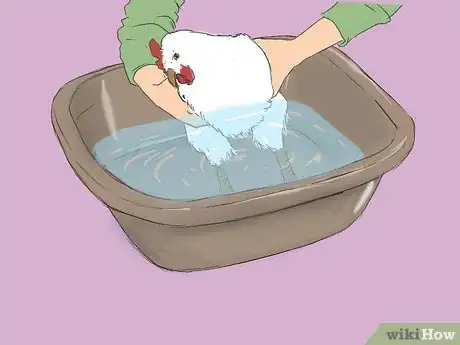 Image intitulée Get Rid of Chicken Mites Step 19