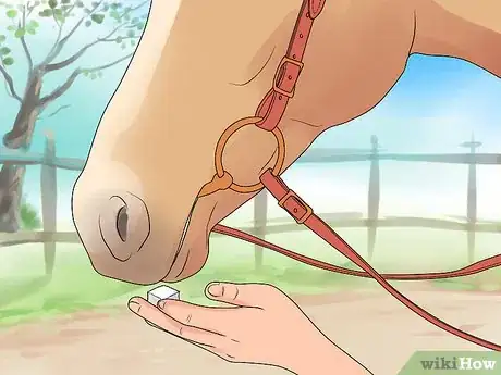 Image intitulée Bridle a Horse Step 20