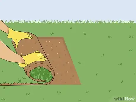 Image intitulée Bring Back Dead Grass Step 11