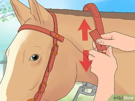 Image intitulée Bridle a Horse Step 21