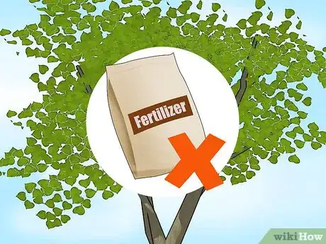 Image intitulée Plant Redbud Trees Step 11