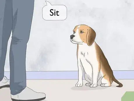Image intitulée Get Your Small Dog to Stop Biting and Barking at You Step 8