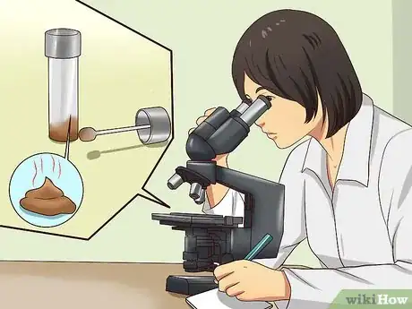 Image intitulée Treat Worms in Dogs Step 11