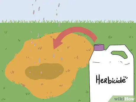 Image intitulée Bring Back Dead Grass Step 12