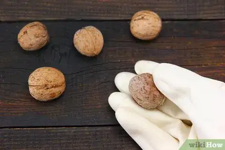 Image intitulée Hull Walnuts Step 7