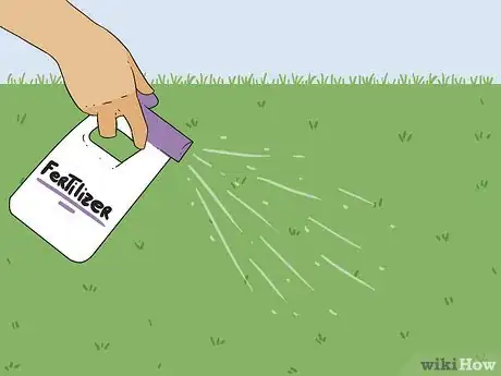 Image intitulée Bring Back Dead Grass Step 17